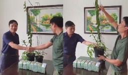 Đại gia Hà Tĩnh tiết lộ mục đích ra Hải Phòng mua 2 chậu lan 3,5 tỷ