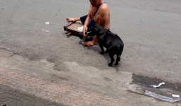 Chú chó tất bật phụ giúp ông chủ tàn tật bán vé số gây xúc động