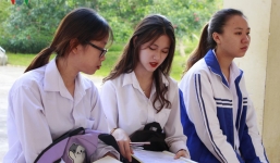  Đáp án gợi ý môn Hóa học tốt nghiệp THPT Quốc gia năm 2019 mã đề 213