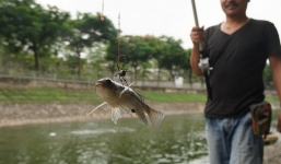 Sông Tô Lịch thơ mộng sau 1 đêm, nhiều người mang cần ra câu cá giải trí