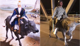 Người đàn ông cưỡi trâu, cầm gậy như tướng quân ra trận gây chú ý trên cầu Bến Thuỷ