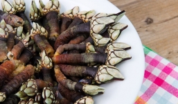 Xem siêu đầu bếp trổ tài chế biến món 'móng tay của quỷ'