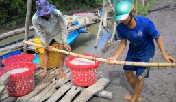 Người dân miền biển Cà Mau trúng mùa ruốc nhưng lại 'khóc ròng'