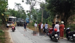 Tông vào chó chạy qua đường, 2 vợ chồng bị xe tải cán thương vong