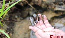 Cận cảnh dòng suối bị đổ trộm dầu thải khiến nước sinh hoạt ở Hà Nội bốc mùi