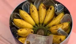 Chồng tặng món quà cực độc ngày 20/10 khiến cô vợ không nhịn nổi cười