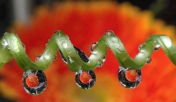 Tin tức công nghệ 24h mới nhất, nóng nhất ngày 27/11/2019