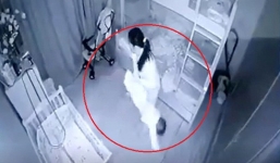 Tạm giữ nữ giúp việc dốc ngược bé gái 13 tháng tuổi ở Nghệ An