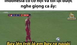 Loạt ảnh chế bùng nổ sau khi U22 Việt Nam 'đè bẹp' Indonesia để giành HCV