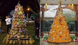 Cây thông Noel khiến dân mạng 'thèm muốn', không biết nên ăn hay nên ngắm