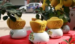 Bưởi Diễn hình thỏi vàng Tài - Lộc giá 1,5 triệu/cặp hút khách chơi Tết