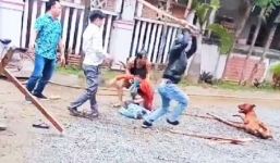 Quảng Nam: Chó Pitbull tuột xích, xông vào cắn nát tay người đi đường