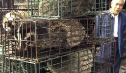 Phát hiện thêm 'thủ phạm' bị nghi ngờ đã reo rắc virus Corona tại Vũ Hán