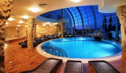 WHO công bố đại dịch, giới siêu giàu thuê máy bay đến boongke tận thế ẩn náu