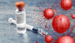 Dịch Covid-19: Hơn 7.130 ca tử vong, Mỹ bắt đầu thử vắc-xin trên người