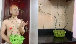 Mua su su vệ dự trữ mùa dịch, chàng trai nhận ra mình 'đã sai thật rồi'