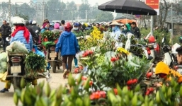 8 ca nhiễm ở thôn Hạ Lôi, Bộ Y tế khẩn cấp tìm người ở chợ hoa Mê Linh