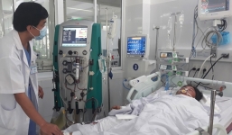 3 người trong gia đình nguy kịch sau khi hái nấm mọc sau mưa về ăn