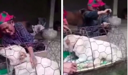 Cái kết đẹp cho cụ bà vùng cao sau khi khóc cạn nước mắt vì phải bán chú chó thân thiết