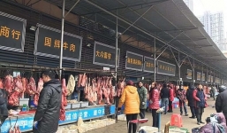 Xuất hiện giả thuyết mới về nguồn gốc của virus SARS-CoV-2