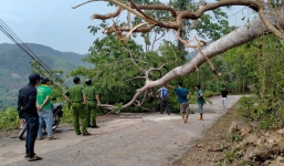 Trú mưa dưới gốc cây, 3 người phụ nữ bị sét đánh tử vong
