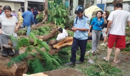 Vụ cây phượng bật gốc đè nhiều học sinh: Mẹ nạn nhân tử vong vừa sinh em được 2 ngày