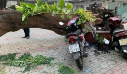 Vụ cây phượng bật gốc đè nhiều học sinh: Hỗ trợ gia đình nạn nhân 30 triệu đồng