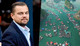 Tài tử đình đám Hollywood được fan khen hết lời khi chia sẻ về vịnh Lan Hạ