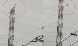 'Ngáo đá', nam thanh niên đứng trên cột điện cao thế rồi bay xuống đất