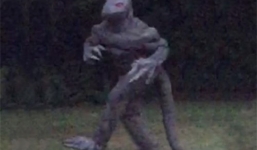 Người phụ nữ chụp được sinh vật bí ẩn cao 2 mét giống người thằn lằn