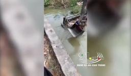 Tài xế xe tải vật lộn cứu 40 con lợn bì bõm dưới sông khiến dân mạng xót xa