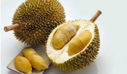 Cách nhìn qua biết ngay sầu riêng chín cây, không nhúng thuốc