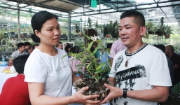 Đại gia Hà Nội chi 5 tỷ đồng mua giò lan '5 cánh trắng vọng xưa'