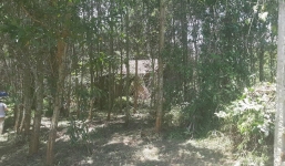 Thông tin mới vụ cháu bé 5 tuổi bị game thủ bắt cóc khiến tử vong 