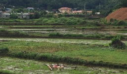 Thông tin mới vụ trọng án tại Điện Biên khiến 2 vợ chồng chủ nợ tử vong