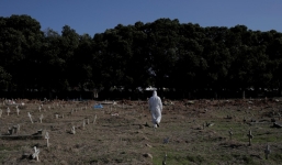 Số ca mắc Covid-19 lớn kỷ lục trong 1 ngày: WHO cảnh báo đại dịch đang tăng tốc