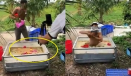 Nam thanh niên tắm trong thùng phân 30 phút để thắng cược của bạn