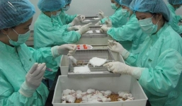 Tin vui: Việt Nam thử nghiệm thành công vaccine Covid-19 trên chuột