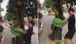 Hí hửng mang chậu hứng mít chín cây, cả nhà tiu nghỉu vì sự cố bất ngờ