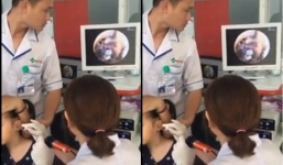 Bé gái khóc thét vì ve chó làm tổ trong tai, clip cảnh tỉnh hội yêu 'boss' mê muội