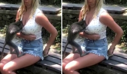 Nữ du khách méo mặt khi bị khỉ kéo khóa quần, soi mói vòng 1