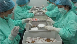 Chuyên gia dự đoán về tiến độ của vắc xin Covid-19 ở Việt Nam