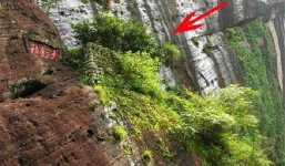 Lý do loại trà 'đế vương' này có giá 37 tỷ 1kg, nhấp một ngụm đã tốn tiền triệu