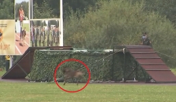 'Người bạn trung thành' Việt Nam bỏ thi vì sợ lạnh khiến khán giả bật cười