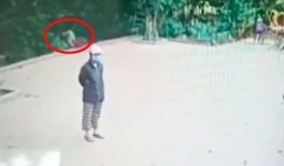 Khoảnh khắc bé trai đạp xe lao thẳng xuống vực, người phụ nữ đứng cạnh không hề biết