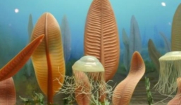 Phát hiện đáng kinh ngạc ở khu vực đập Tam Hiệp, Trung Quốc