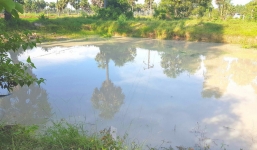 An Giang: Rủ nhau đi tắm hồ, 5 học sinh đuối nước thương tâm