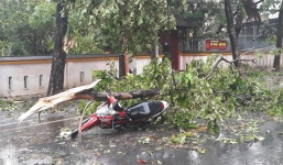 Chạy xe máy về nhà chống bão, chuyên viên phòng giáo dục ở Huế bị cây đè tử vong