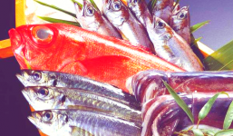 2 loại cá này là 'bể chứa' kim loại nặng, có cho thêm tiền cũng không mua