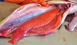 Cách người Nhật chế biến món trứng cá hồi ướp lạnh hảo hạng